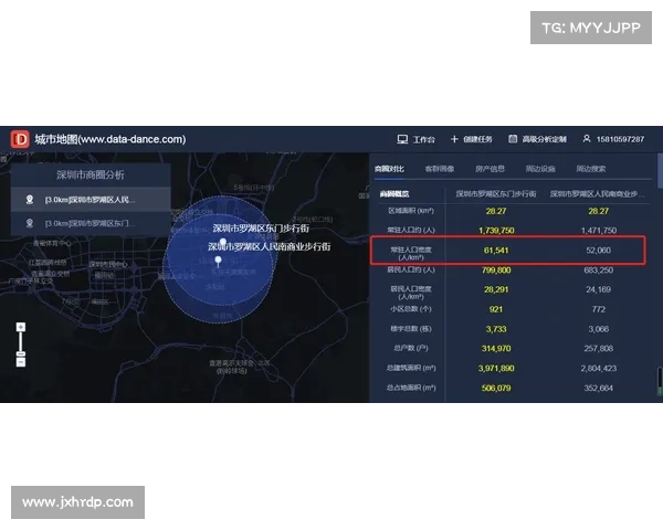 打造职业联赛成功之路的关键要素与策略解析